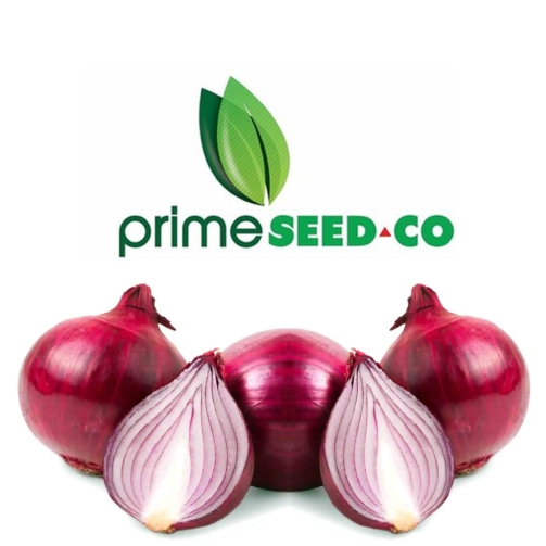 Prime-Seedco-Onion Red Creole