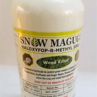 Snow-Magugu-png