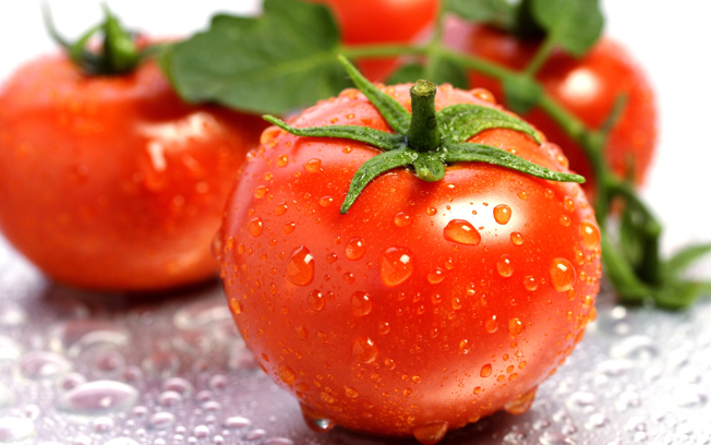Tomato 97